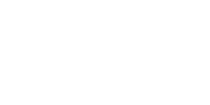 Control Position. Soluciones de Gestión para Flotas